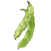 Hestebønner