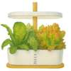 Hydroponisk dyrking