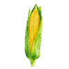 Grønnsaksfrø