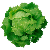 Grønnsaksfrø