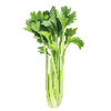 Grønnsaksfrø