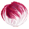 Grønnsaksfrø