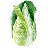 Spisskål
