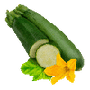 Grønnsaksfrø