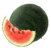 Grønnsaksfrø