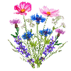 Blomsterfrø