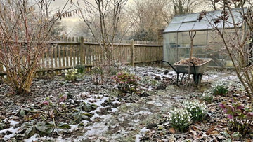 Hagen i februar - Blomea.no