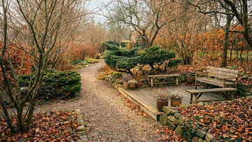 Hagen i november - Blomea.no