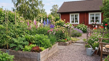 Sommer i hagen - Blomea.no