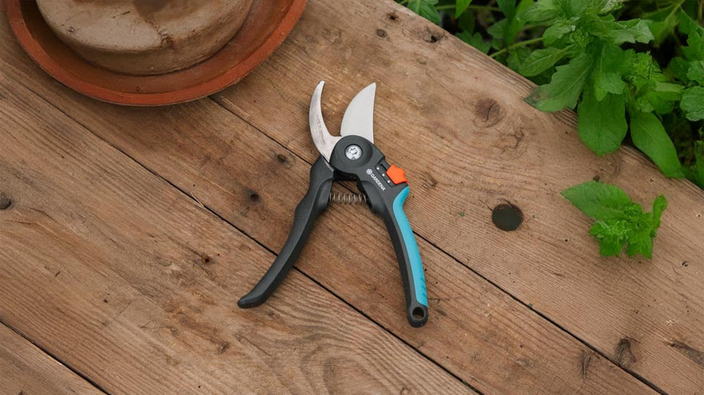 Beskjæringssakser - Blomea.no