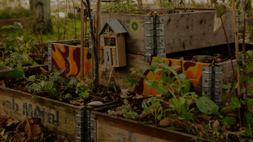 Black Month - Blomea.no