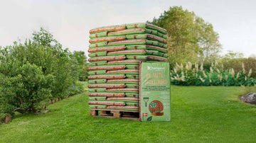 Champost - Blomea.no