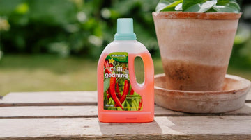 Chili gjødsel - Blomea.no