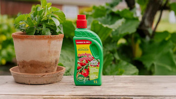 Drivhusgjødsel - Blomea.no