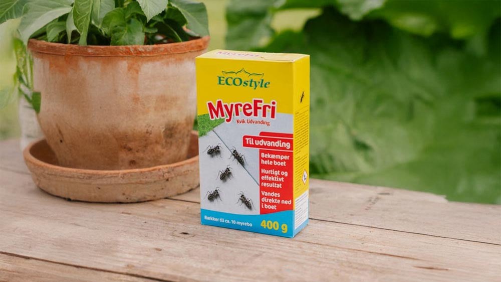 ECOstyle - Blomea.no