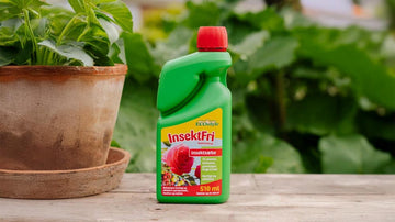 ECOstyle insektfri - Blomea.no