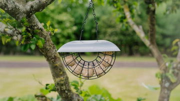 Fôrautomater - Blomea.no