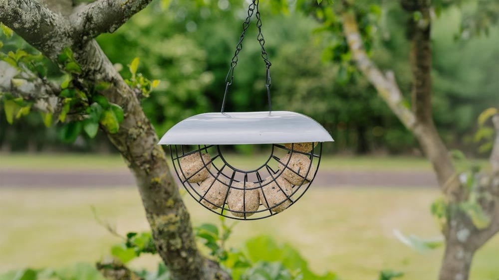 Fôrautomater - Blomea.no