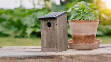 Fuglehus - Blomea.no