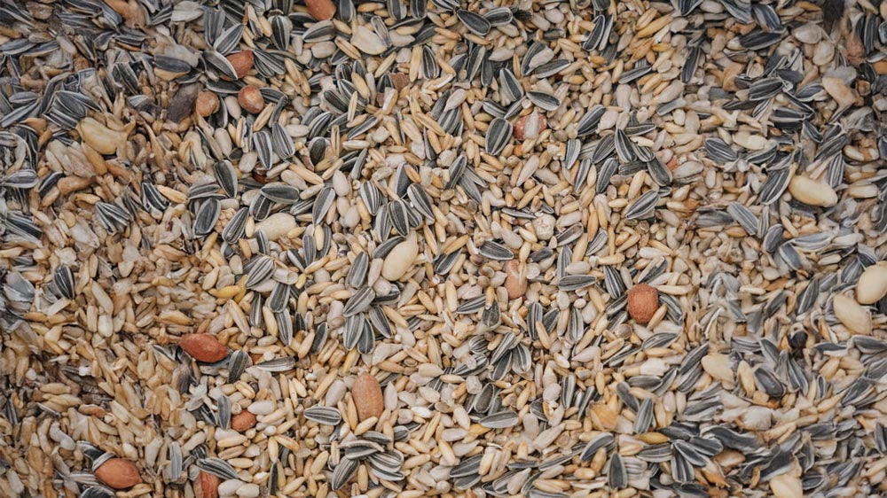 Fuglemat - Blomea.no