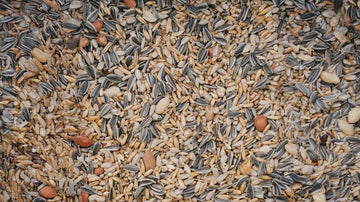 Fuglemat - Blomea.no