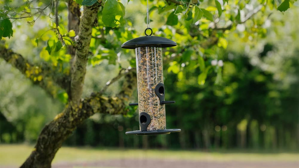 Fuglematere - Blomea.no