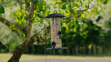 Fuglematere - Blomea.no