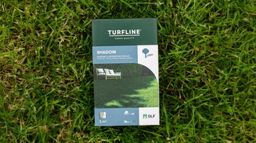 Gressfrø skygge - Blomea.no