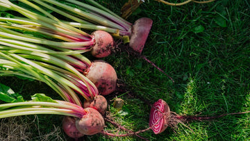 Grønnsaksfrø - Blomea.no