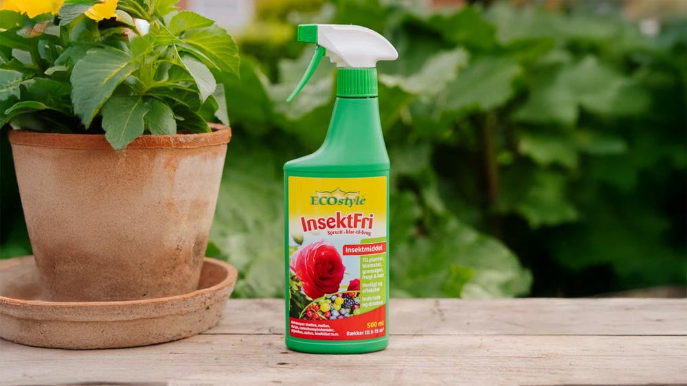 Insektfri - Blomea.no