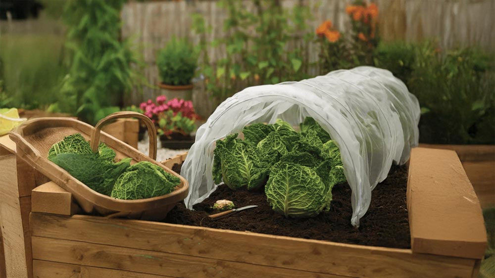 Insektsnett - Blomea.no