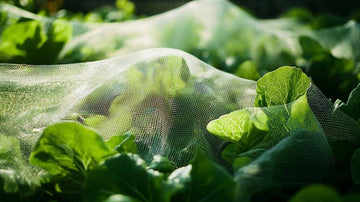 Kålnett - Blomea.no