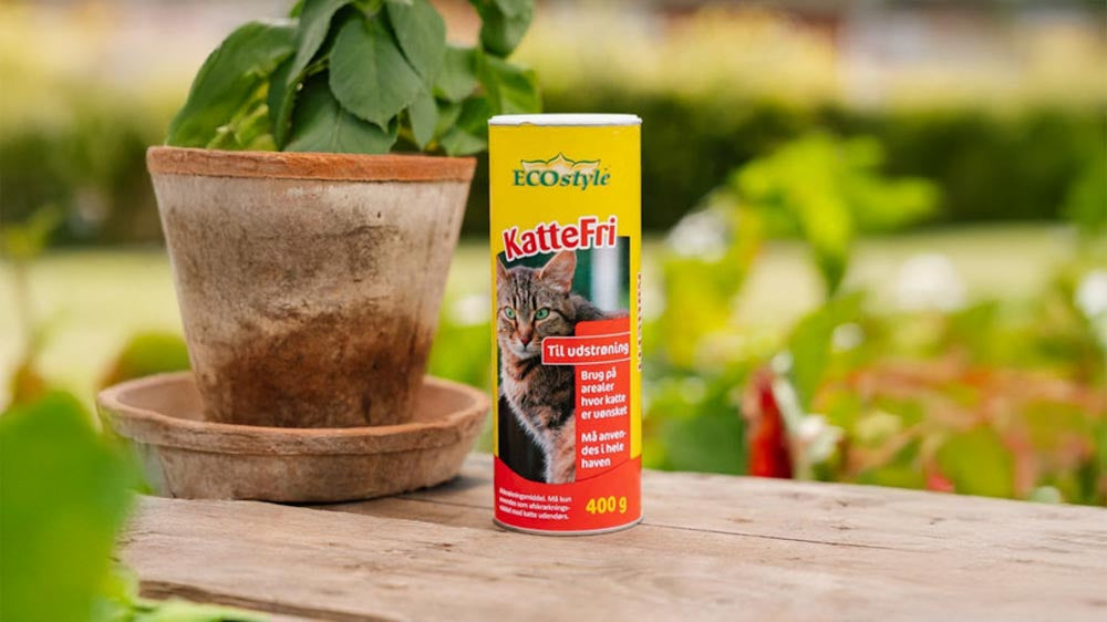 Kattefri - Blomea.no