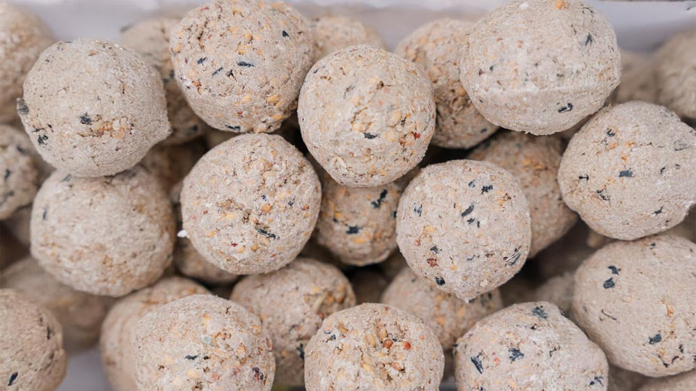 Meiseboller - Blomea.no