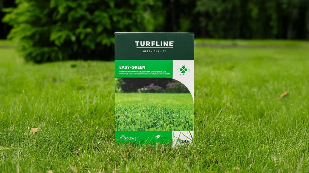 Mikrokløver - Blomea.no