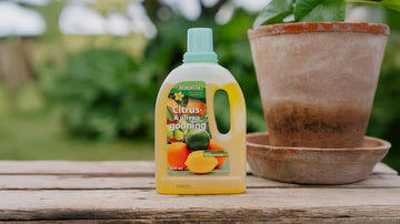 Olivengjødsel - Blomea.no