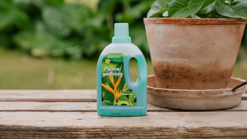 Palmegjødsel - Blomea.no