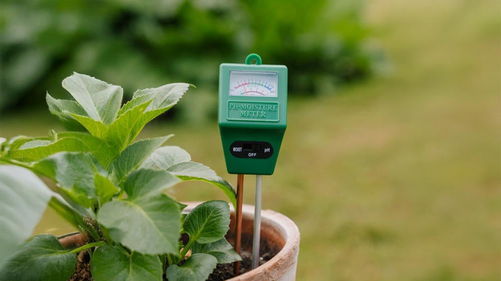 pH-målere - Blomea.no