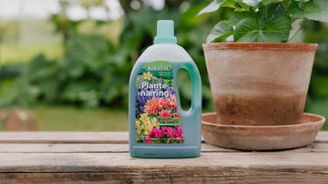 Plantenæring - Blomea.no