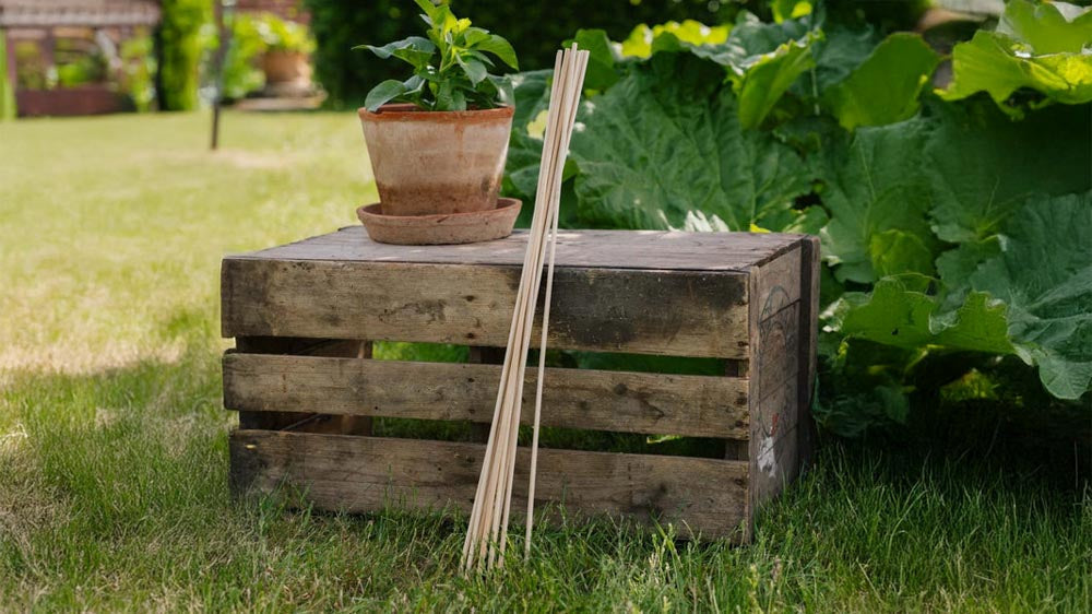 Plantepinner - Blomea.no