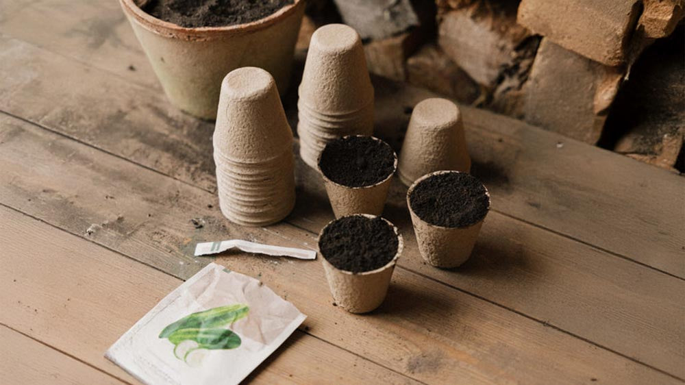 Plantepotter - Blomea.no