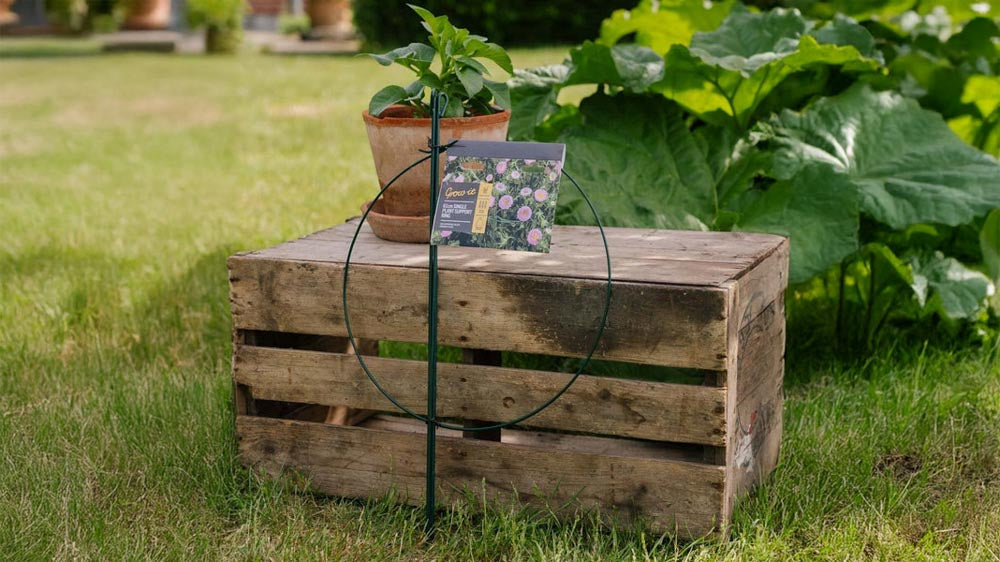 Plantestøtte - Blomea.no