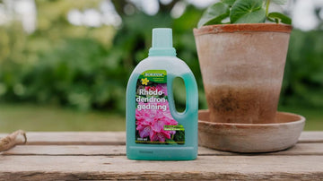 Rhododendron gjødsel - Blomea.no