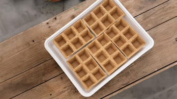 Såbakker - Blomea.no