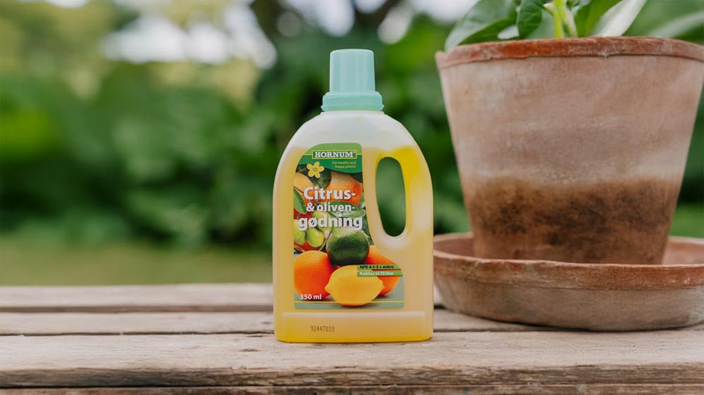 Sitrusgjødsel - Blomea.no