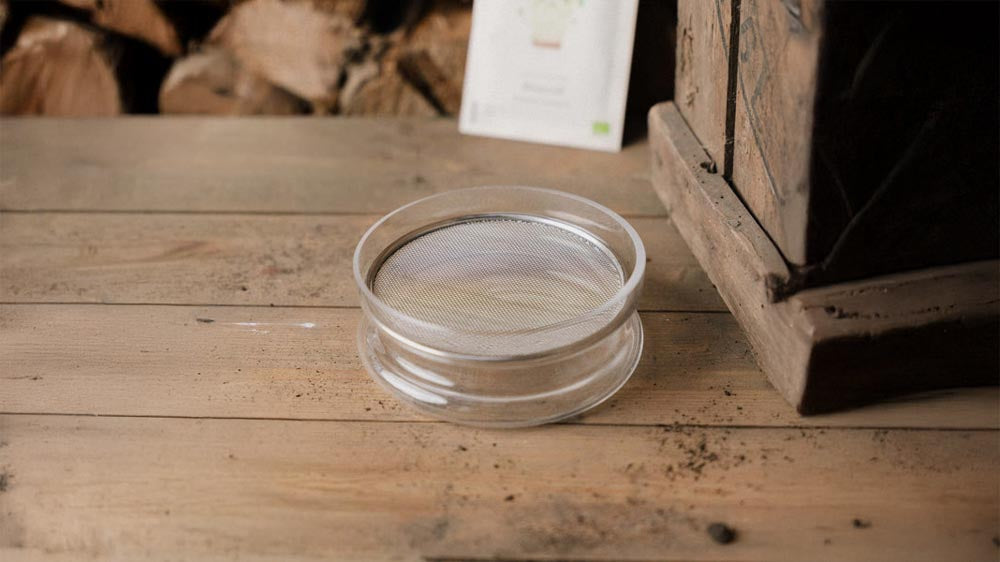 Spireglass - Blomea.no