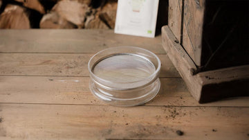 Spireglass - Blomea.no