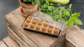 Starterkits - Blomea.no