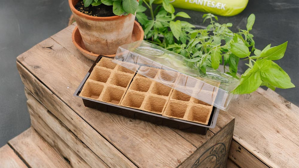 Starterkits - Blomea.no