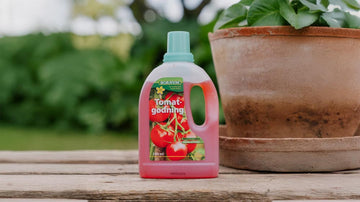 Tomatgjødsel - Blomea.no